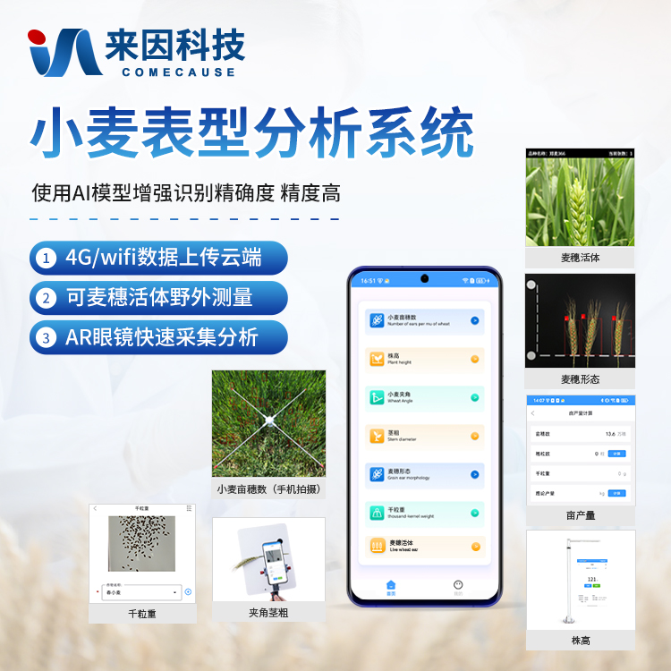 小麦表型分析仪