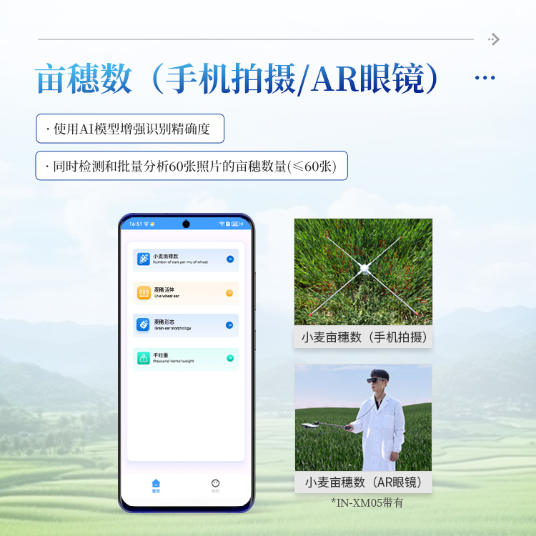小麦表型分析仪