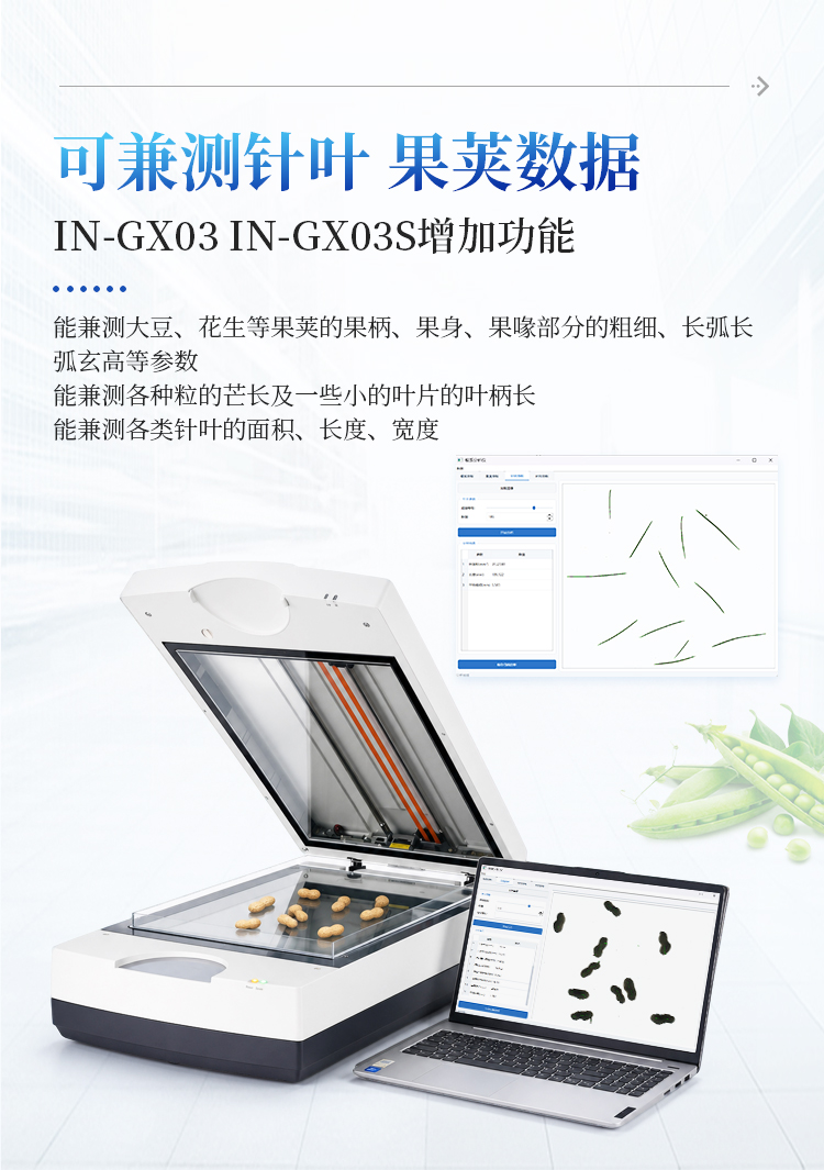 根系分析系统