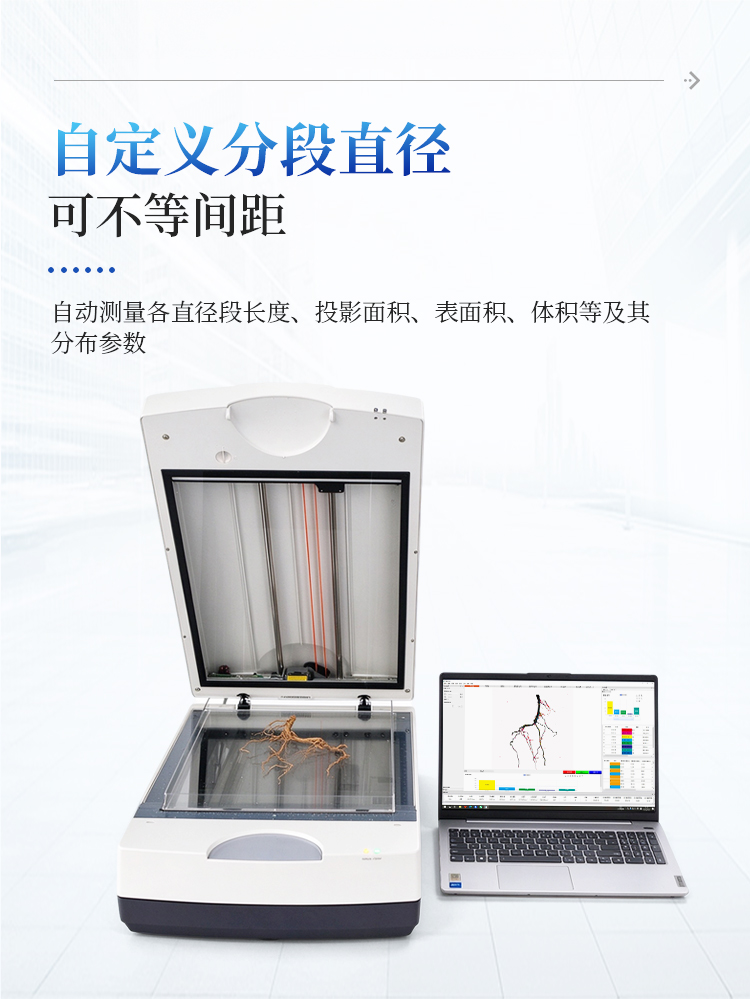 根系分析系统