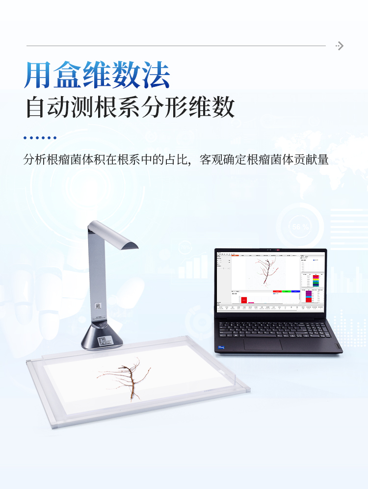 根系分析系统