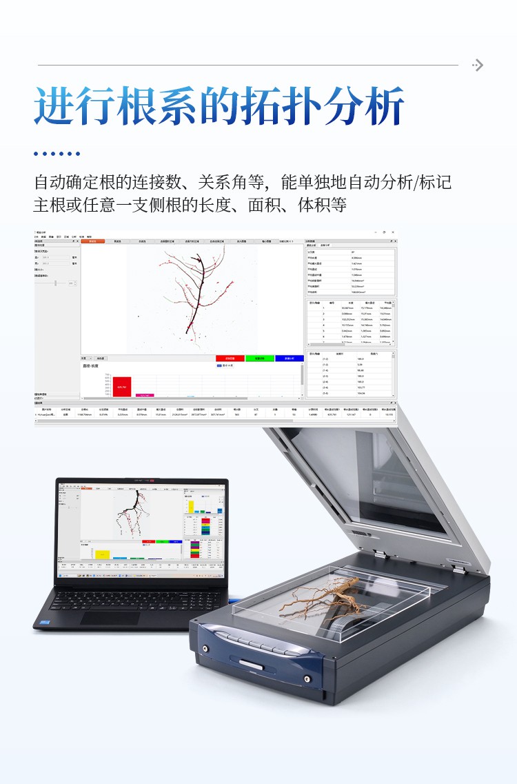 植物根系图像分析仪